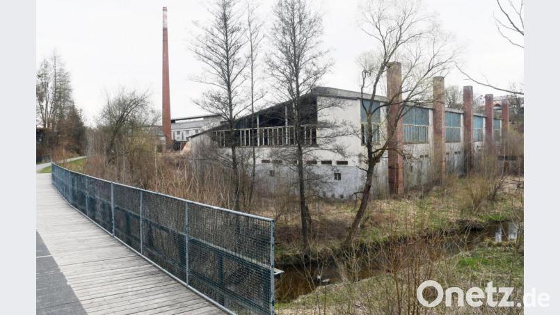 Heute eine triste Tritschler-Brache, in zehn Jahren ein blühendes Landesgartenschaugelände entlang des Bockls? Die Neústädter Stadträte könnten sich mit dieser Idee anfreunden. Bild: Gabi Schönberger