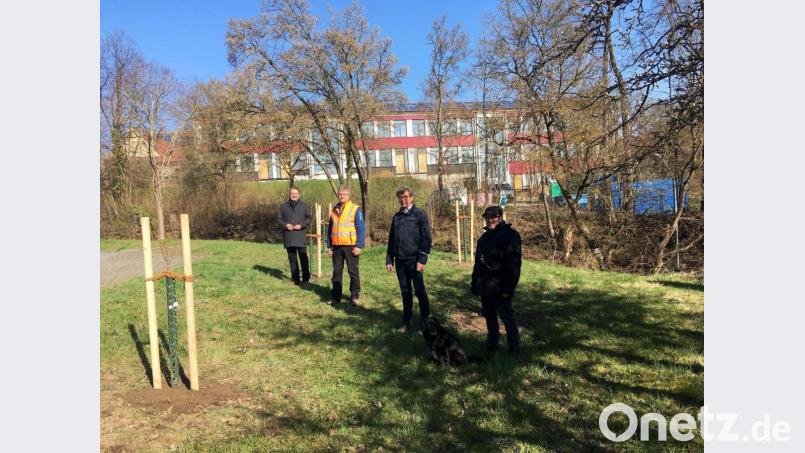 Nabburg setzt auf Obstbäume. Im Seyerleingarten wurden neue Birn- und Zwetschgenbäume gesetzt. Bürgermeister Frank Zeitler, Bauhofleiter Rudi Scharf, Kreisfader Leiter des Kreisgartenamtes Wolfgang Grosser und der ehrenamtliche Gartenpfleger Wolfgang Engel (von links) erläutern das Obstbaumkonzept. Bild: ihl