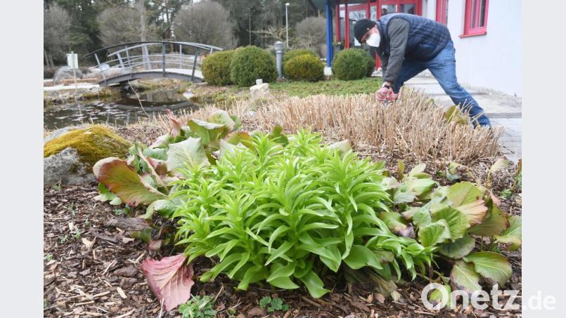 Unternehmen, wie die Firma Punzmann Garten- und Landschaftsbau, haben derzeit viel zu tun. Die Menschen investieren wieder mehr in ihren Garten. Der Trend geht weg von Schottergärten. Bild: Gabi Schönberger