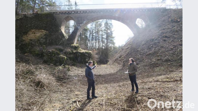 Der Ursensollener Bürgermeister Albert Geitner (links) macht sich mit Natur- und Landschaftspflegerin Anita Vieracker vom Landschaftspflegeverband Amberg-Sulzbach ein Bild von den Maßnahmen an der Haager Eisenbahnbrücke. Bild: Verena Sägenschnitter/exb