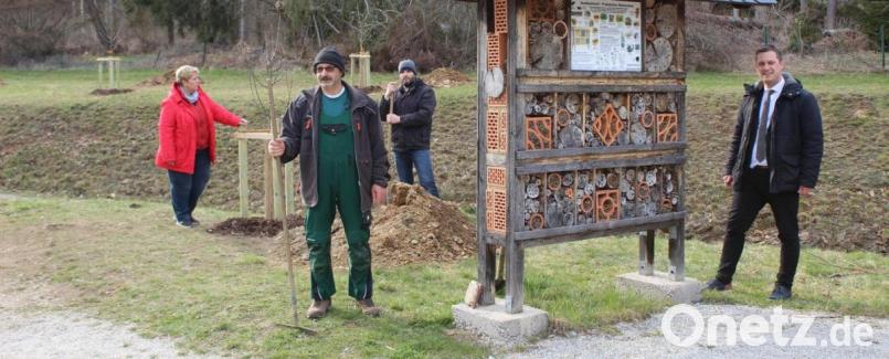 Bürgermeister Wolfgang Söllner (von rechts) bedankte sich bei den Verantwortlichen des Obst- und Gartenbauvereins für die Baumpflanzaktion beim Insektenhotel am Fahrradweg. Mit dabei Armin Greger, Theo Schiener und Vorsitzende Inge Geißler. Bild: soj