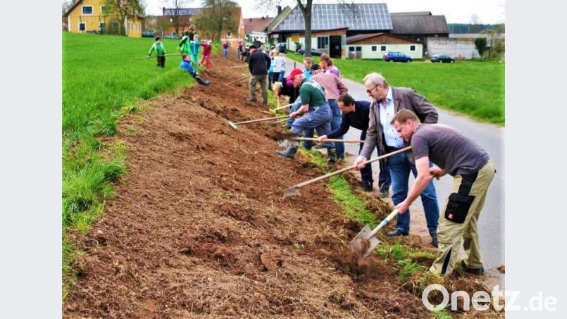 Viele Hände packten vor fünf Jahren mit an, als die erste Straßenböschung in Hannersgrün mit Wildblumensamen angesät wurde. Vorkämpfer der Aktion war Manfred Häring (vorne), auch Bürgermeister Rudolf Götz (Zweiter von rechts) griff mit zum Rechen. Bild: Archiv war Bild: jml