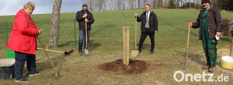 Die Pflanzaktion des von Radio Ramasuri gespendeten Apfelbaums im Freibad. Im Bild (von links) OGV-Vorsitzende Inge Geißler, Armin Greger, Bürgermeister Wolfgang Söllner und Theo Schiener. Bild: soj