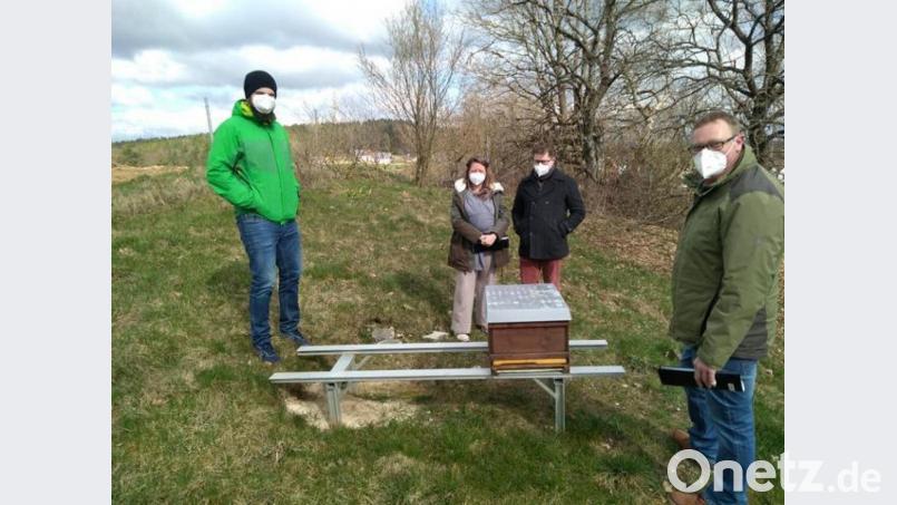 Mit Abstand und einem Hygienekonzept startet der Bienenzuchtverein Sulzbach-Rosenberg in die neue Saison. Bild: Alexander Hirschmann-Titz/exb
