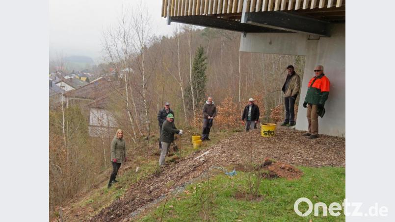 Das Ehrenamt wird beim Obst- und Gartenbauverein ganz groß geschrieben. Mitglieder unterstützen die Stadt und bepflanzen das Gelände unterhalb der Kulmterrasse bei typischem Aprilwetter mit einzelnen mit Wildsträuchern. Im Bild (von links) Jana Schäffler, Manfred Höllering, Hermann Preißinger, Helmut Schäffler, André Dietrich, Bürgermeister Wolfgang Haberberger und Klaus Sehnke. Bild: ow
