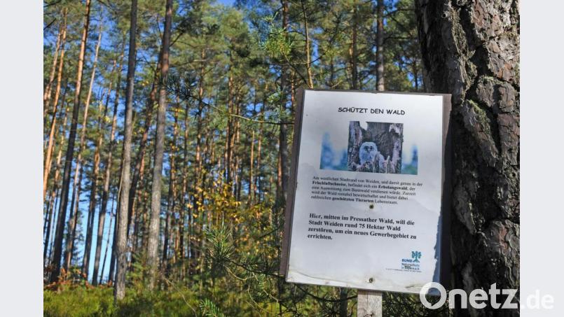 Nach ihrem erfolgreichen Bürgerentscheid gegen das geplante Gewerbegebiet Weiden West IV bietet das Aktionsbündnis Walderhalt, das weiterhin von gut 30 Bürgern getragen wird, erneut die Unterstützung bei der Suche nach Gewerbeflächen an. Bild: Gabi Schönberger