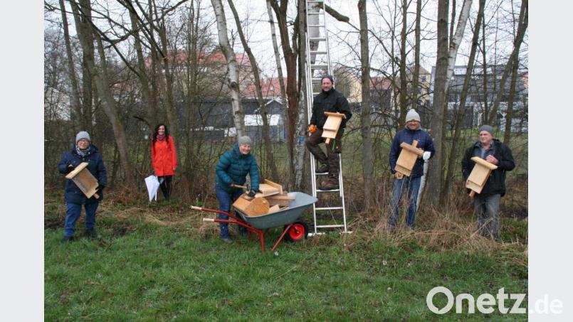 Beim Arbeitseinsatz am Wochenende im Stadtpark dabei waren (von links) die Vorsitzende des Obst- und Gartenbauvereins Doris Deubzer, Bürgermeisterin Margit Bayer, Doris Burger von der Naturwerkstatt Steinwald, Johannes Herold vom Obst- und Gartenbauverein, Stefan Müller als Kopf der Waldershofer Öko-Gruppe und Konrad Zier vom Bund Naturschutz. Bild: fpoz