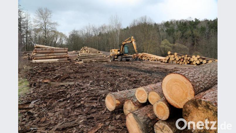 Das Holzlager im Sägewerk Bayerl bei Gleiritsch ist ziemlich abgeräumt. Bauboom und hohe Exporte in die USA haben die Vorräte schwinden lassen. Auch die Corona-Pandemie scheint dabei eine Rolle zu spielen. Schreiner und Zimmerer sind mit Engpässen und Preissteigerungen konfrontiert. Bild: Gerhard Götz