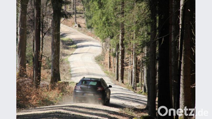Auch wenn es ein wenig staubt, die Umleitung durch das Waldstück ist gut befahrbar. Doch wer darauf unterwegs ist, muss einen Berechtigungsschein der Stadt Schönsee vorweisen. Bild: frd