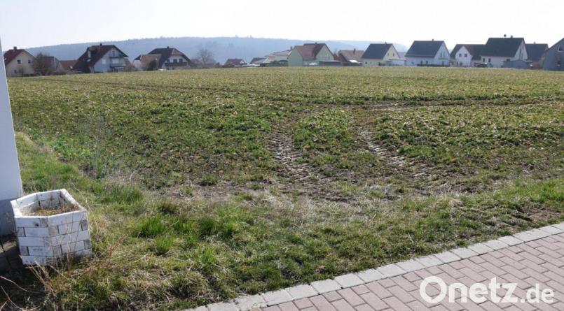 Sonnige Bauplätze am Barbarafeld wird die Gemeinde Ebermannsdorf demnächst anbieten können. Doch vorher gilt es noch einige Regularien zu erfüllen. Bild: bö