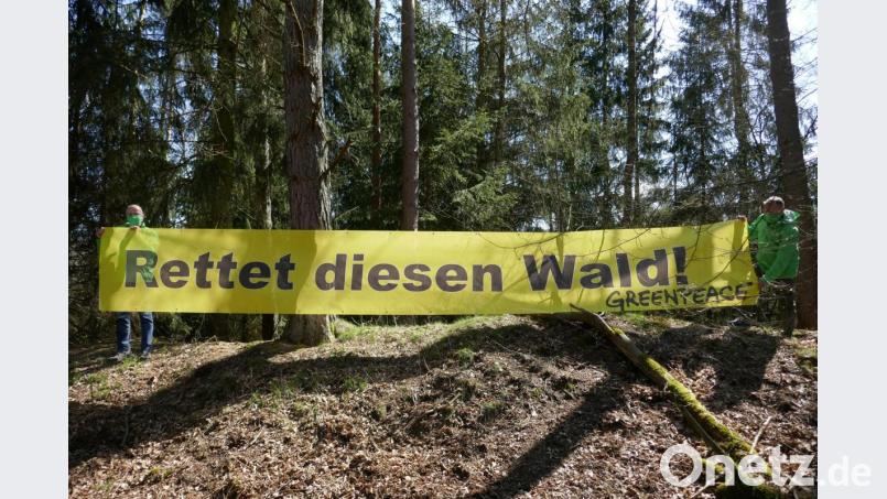 Mitglieder der Ortsgruppe Weiden entrollten zum &quot;Tag des Waldes&quot; im Engelmannholz ein Transparent. Bild: Greenpeace Weiden/exb