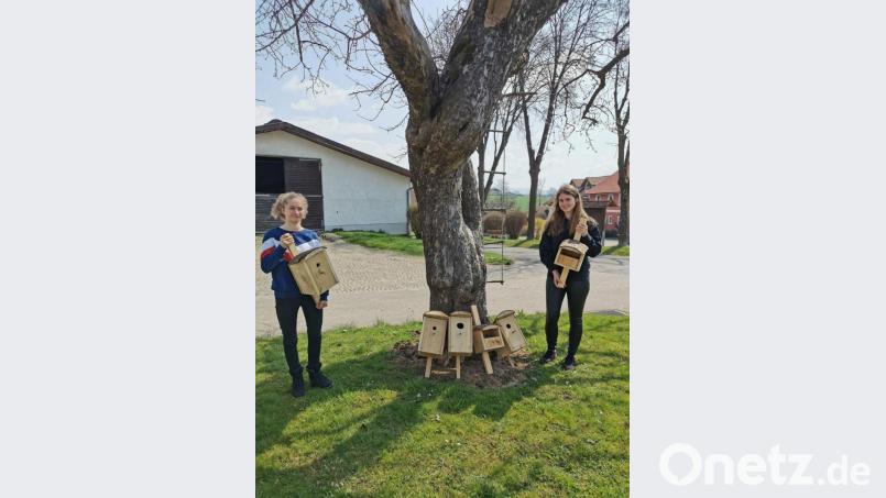 Lena Hauser (links) und Irina Vetter stellen die drei Typen von Nisthilfen vor, mit denen das Schulgelände ausgestattet wurde. Bild: lg