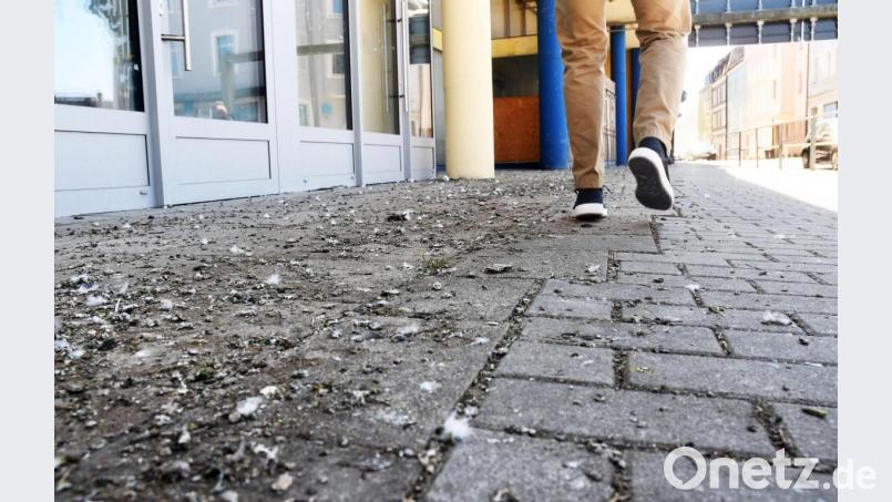 Hoch das Beinchen. Dennoch bleiben an den Sohlen die Hinterlassenschaft der Tauben (links) hängen, die in der Fassade des Josefshauses nisten. Seine Reinigungspflicht nimmt der Hausherr nicht immer besonders ernst. Bild: Gabi Schönberger