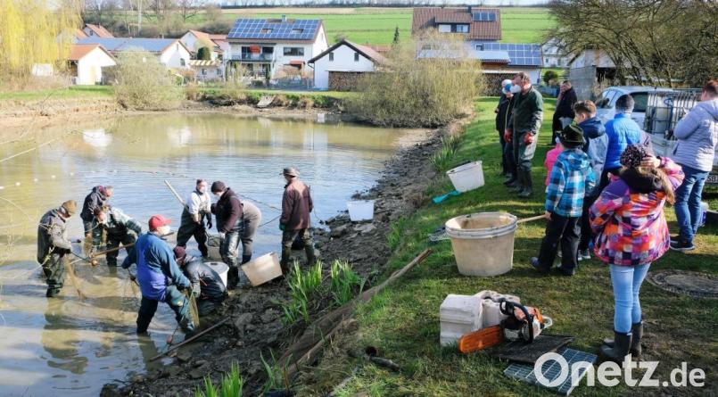 Für den Dorfweiher kündigte Bürgermeister Marcus Gradl eine umgehende Sanierung an Bild: do