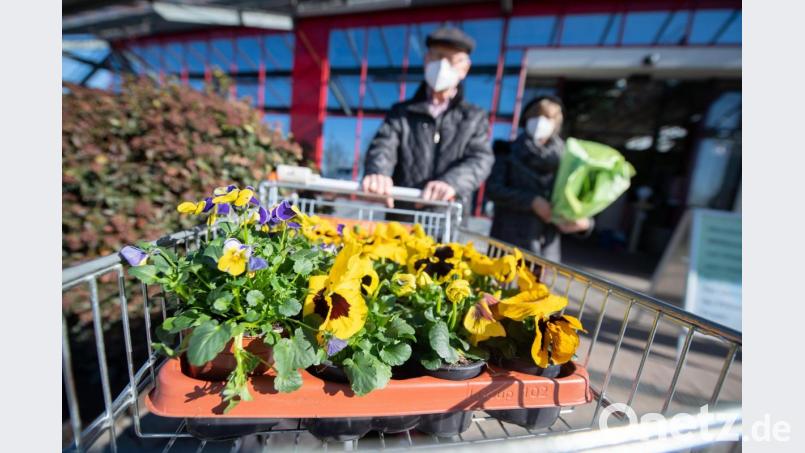 In Bayern dürfen ab Mittwoch auch wieder Blumenläden, Gartencenter und Buchhandlungen inzidenzunabhängig und ohne Negativtest für Kunden öffnen. Symbolbild: Sebastian Gollnow