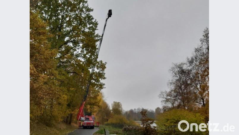 Mit der Feuerwehr-Drehleiter simulierte die Stadt Waldsassen im Herbst schon mal die Höhe des neuen Aussichtsturms. In der Nähe der Sitzbank beim Kuglerweiher, unweit der Lourdes-Grotte, soll die Attraktion entstehen. Archivbild: Stadt Waldsassen/exb