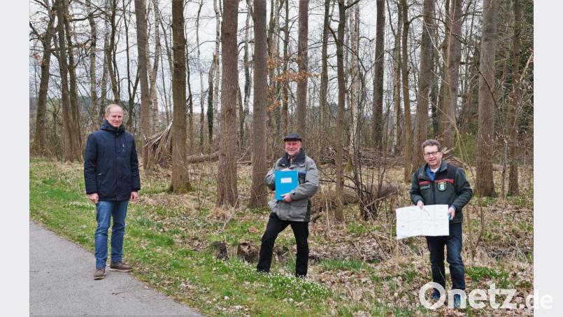 Bürgermeister Konrad Kiener, Forstdirektor Alwin Kleber und Revierförster Hubert Amode (von links) bei der Übergabe des Forstbetriebsgutachtens für den Gemeindewald. Bild: twi