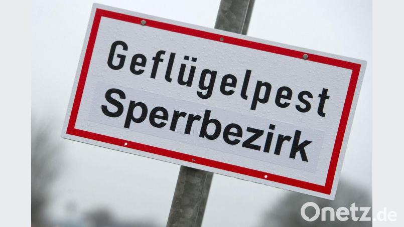 Ein Schild mit der Aufschrift „Geflügelpest Sperrbezirk“. Foto: Stefan Sauer/dpa-Zentralbild/dpa/Symbolbild Bild: Stefan Sauer