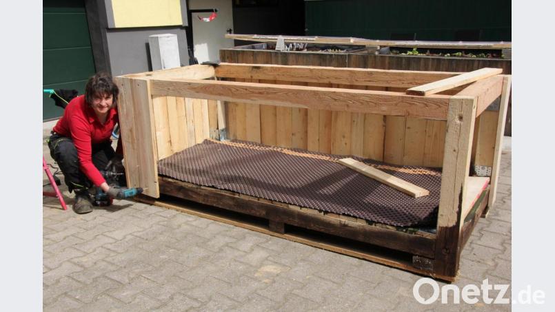 Andrea Rosner befestigt die Bretter an die Balken. Die Besonderheit dieses Hochbeetes: Es hat einen stabilen Holzboden und kann deshalb mit einem Gabelstapler transportiert werden. Bild: kro