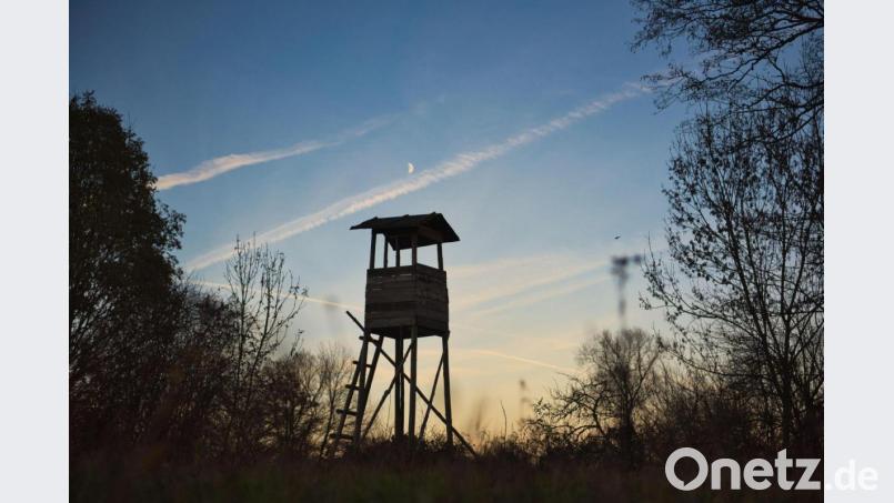 Der Mond steht über einer Jagdkanzel. Foto: Nicolas Armer/dpa/Symbolbild Bild: Nicolas Armer