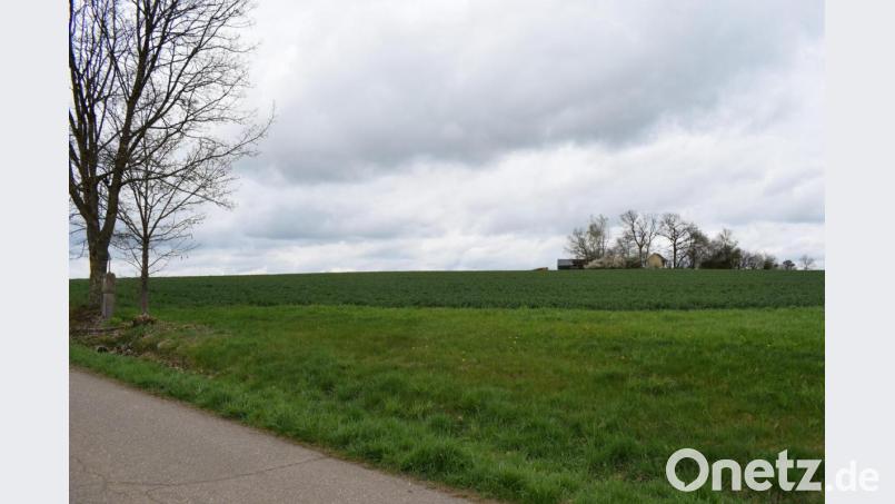 Das Baugebiet "Vogelherd" in Hohentreswitz nimmt konkrete Formen an. Das Ingenieurbüro Blank stellt erste Bebauungsvarianten vor. Bild: bnr
