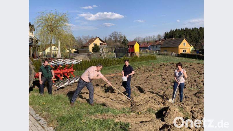 Die Blühwiesen-Aktion der CSU gedeiht bei Neuhaus Bild: David Kreinhöfner/exb