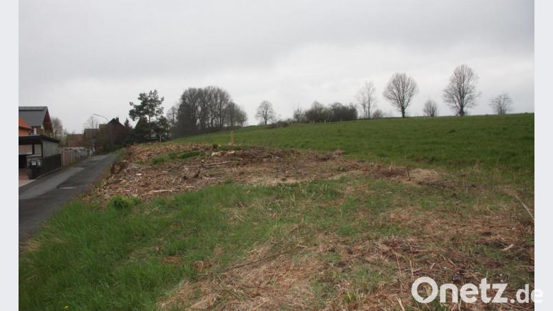 Der Start für die Erschliessung des neuen Baugebietes am Kreuzberger &quot;Sonnenhang&quot; ist in greifbare Nähe gerückt. Die Kosten dafür wurden in den aktuellen Haushalt eingebunden. Bild: wro