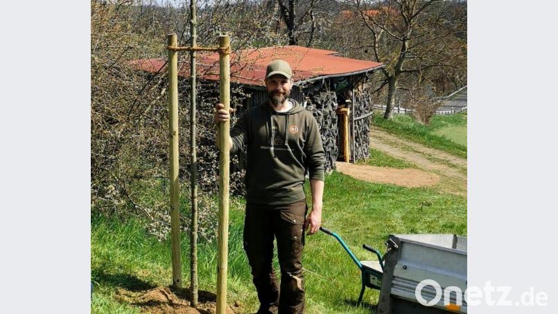 Sven Förster, Vorsitzender des Ortsverschönerungsverein Wurz, mit der frisch eingepflanzten Mehlbeere nahe der Mosterei in Wurz. Bild: szl