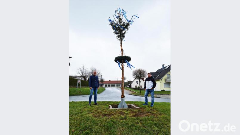 Jürgen Wegmann (links) und Tobias Schatz wollen auch in der Corona-Pandemie nicht auf einen Maibaum verzichten. Bild: sne