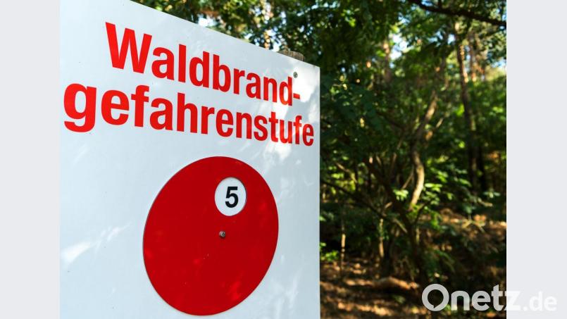 In den Wäldern herrscht wegen anhaltender Trockenheit Waldbrandgefahr. Symbolbild: Monika Skolimowska/ZB/dpa