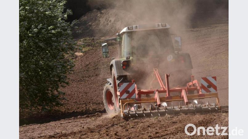 Staubtrockene Böden - nach mehreren &quot;Dürrejahren&quot; werden sie auch in der Oberpfalz zum Problem. Bild: Gabi Schönberger