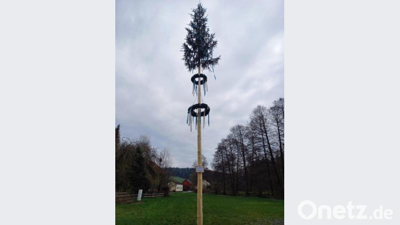 Die Feuerwehr Trevesen stellte kurzerhand einen kleineren Maibaum in der Ortsmitte auf. Bild: twg