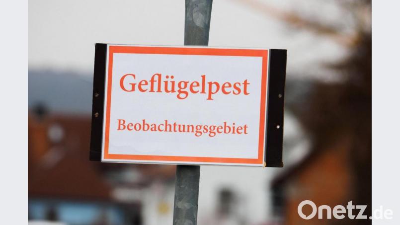 Ein Schild mit der Aufschrift Geflügelpest - Beobachtungsgebiet ist zu sehen. Die Stallpflicht wird in der Stadt Amberg und im Landkreis nun wieder aufgehoben. Bild: Nicolas Armer/dpa