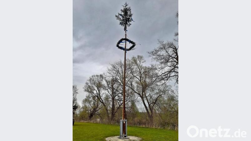 Der Maibaum am Feuerwehrhaus in Hütten Bild: jma