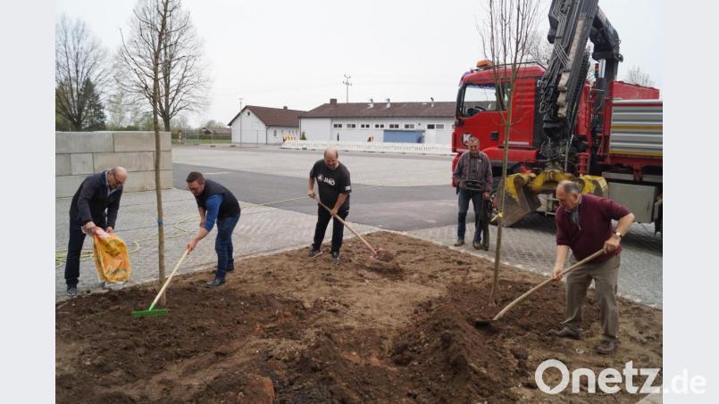 Mitglieder des Obst- und Gartenbauvereins und des OWV Schirmitz pflanzen am Rand des neu angelegten Parkplatzes am SpVgg-Sportheim (im Hintergrund) und des neuen Fahrsilos aus Betonblocksteinen (links, hinten) insgesamt vier heimische Bäume zur Klimaverbesserung und Aufwertung des Ortsbildes. Bild: du
