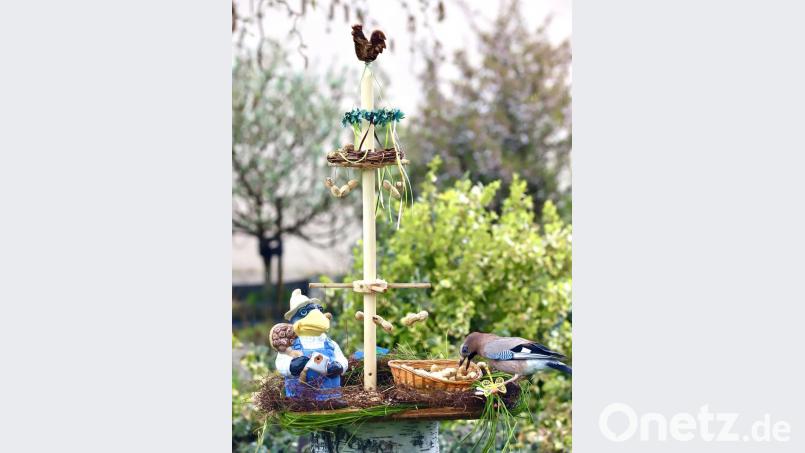 Maibaum für die Vögel. Bild: Hans Lenk/exb