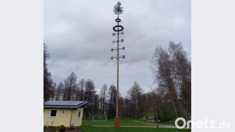 Der Maibaum in der Dorfmitte in Pullenreuth. Bild: twg