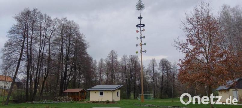 In der schönen Dorfmitte in Pullenreuth steht ein schmucker Maibaum. Bild: twg