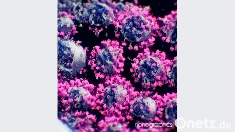 Das Symbolbild zeigt eine 3-D-Abbildung von Coronaviren. Bild: Peter Mindek/Nanographics/apa/dpa