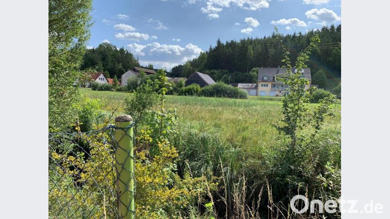 Am und im Hausener Bach soll eine Kneippanlage entstehen. Der Gemeinderat Ursensollen begrüßt dieses Vorhaben. Bild: Nina Forster/exb