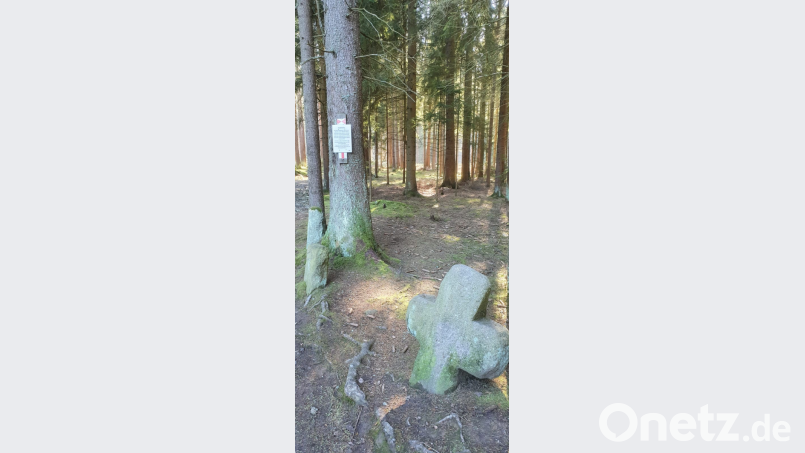 Ein spannender Ort ist die Gegend um die „Drei Handkreuze im Elm“. Bild: sl