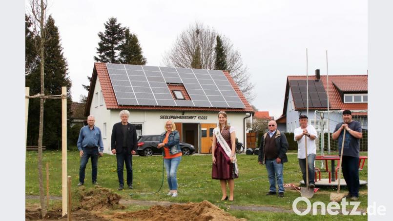 Siedler-Vorsitzender Josef Barth (von links), Bürgermeister Robert Lindner, die stellvertretende Kreisvorsitzende Rita Rosner, Holunderkönigin Sandra Neubeck, der „gute Geist“ im Kreislehrgarten, Josef Beer, Peter Späth und Martin Schwab von den Siedlern pflanzten neue Bäume auf dem Spielplatz im Ortsteil Ziegelhütte. Bild: lst