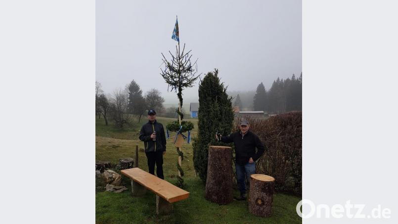 Der Maibaum im Mitteldorf. Bild: Siegfried Walter/exb