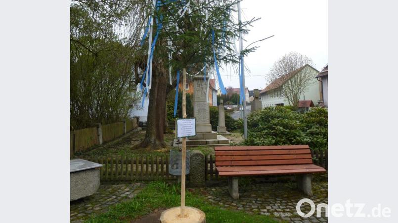 Der &quot;Maibaum&quot; in Hohenthan. Bild: Siegfried Walter/exb