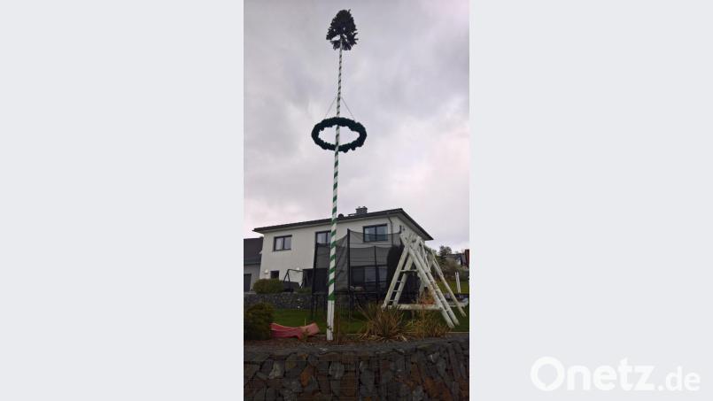 Familie Poisel im Wiesenring gestaltete ihren Baum in der Farbe der Hoffnung – in Grün, passend zum Gefühl, das die Menschen in sich tragen. Bild: rpp