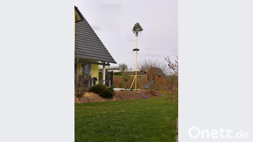 Der Baum von Familie Strobl grüßt weithin sichtbar. Bild: rpp