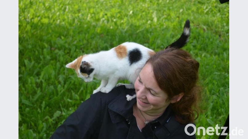 Katzen mögen Reporterin Sonja Kaute: Diese hier turnte während eines Termins munter auf ihrer Schulter herum. Bild: fz