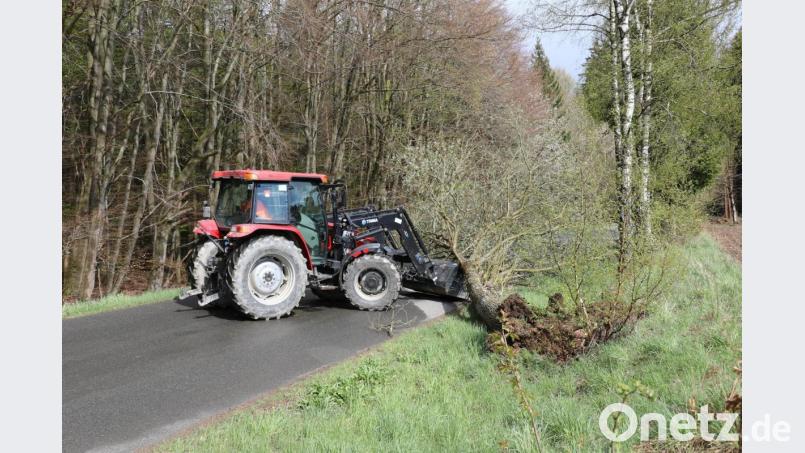 Mit dem Traktor wird der gefallene Baum von der Fahrbahn geräumt. Bild: akp
