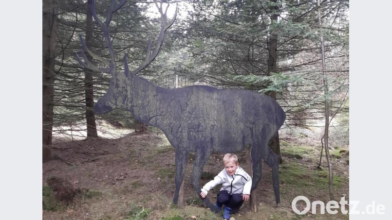 Noah begibt sich auf eine spannende Suche am Entdeckerpfad. Bild: gis