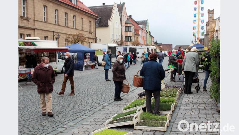 Kollektive Zufriedenheit herrscht über den Verlauf des ersten Kemnather Wochenmarktes. Bild: stg
